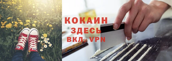метадон Инта