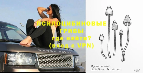 метадон Инта