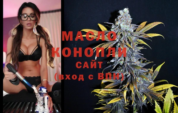 метадон Инта