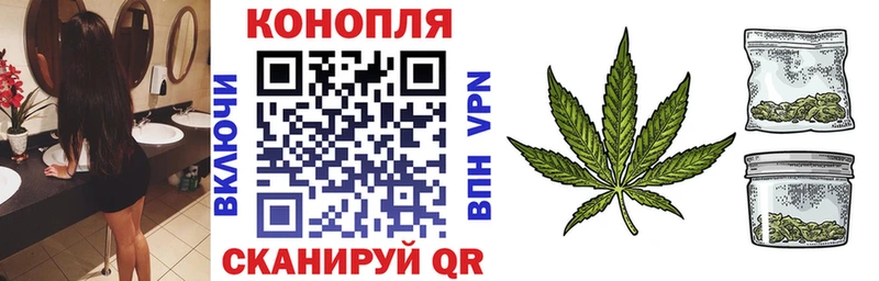 Бошки Шишки марихуана  Купить где  Мураши 